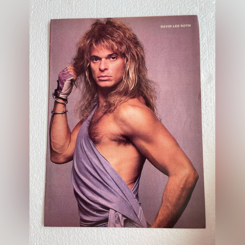 Vintage David Lee Roth Pinup
